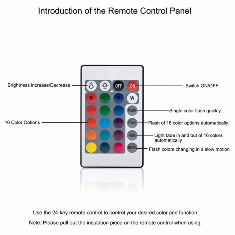 Remote Control LED Garden Ball 