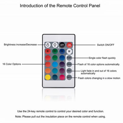 Remote Control LED Garden Ball 